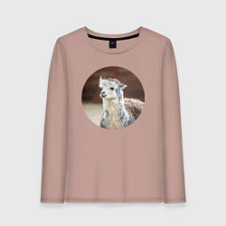 Лонгслив хлопковый женский Альпака, цвет: пыльно-розовый