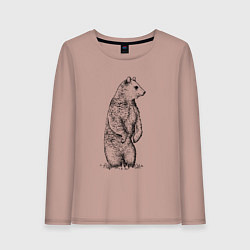 Лонгслив хлопковый женский Медведь стоящий, цвет: пыльно-розовый
