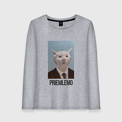 Женский лонгслив Приемлемо - кот мем в живописи