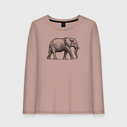 Лонгслив хлопковый женский Слон гуляет, цвет: пыльно-розовый