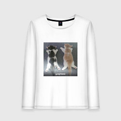 Лонгслив хлопковый женский Мемные коты умерчики, цвет: белый