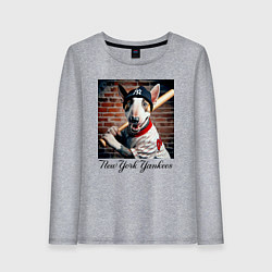 Женский лонгслив Bull terrier - New York yankees baseball team