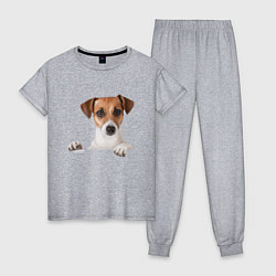 Пижама хлопковая женская Собака, цвет: меланж