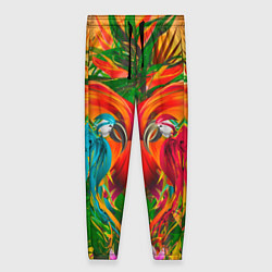 Женские брюки Яркие тропики