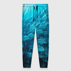 Женские брюки Морской мир