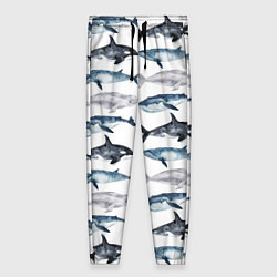Женские брюки Принт с китами