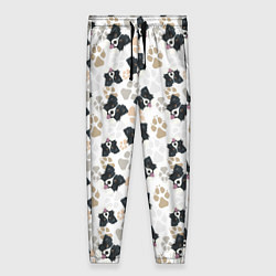 Брюки женские Бордер Колли, цвет: 3D-принт