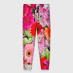 Женские брюки Colorful chrysanthemums