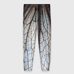 Брюки женские Прожилки растения, цвет: 3D-принт