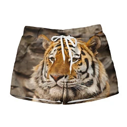 Шорты женские Мудрый тигр, цвет: 3D-принт