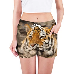 Шорты женские Мудрый тигр, цвет: 3D-принт — фото 2