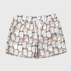 Женские шорты Кошки котики коты