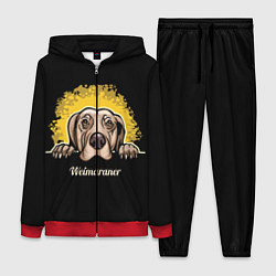 Женский костюм Веймаранер Weimaraner