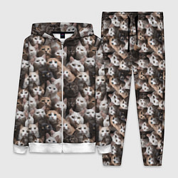 Женский костюм Паттерн из кошечек