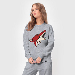 Костюм хлопковый женский Phoenix Coyotes, цвет: меланж — фото 2
