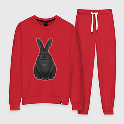 Костюм хлопковый женский Черный водяной кролик - 2023, цвет: красный
