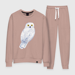 Костюм хлопковый женский Белая полярная сова, цвет: пыльно-розовый