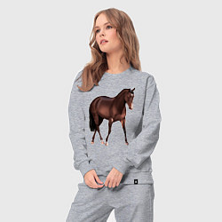Костюм хлопковый женский Австралийская пастушья лошадь, цвет: меланж — фото 2