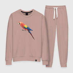 Костюм хлопковый женский Одинокий сине-красный попугай, цвет: пыльно-розовый
