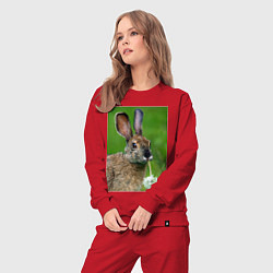 Костюм хлопковый женский Зайчик с одуванчиком, цвет: красный — фото 2