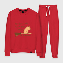 Женский костюм Мем капибара на метле: фея и ведьма