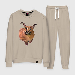 Женский костюм Кот Шлепа