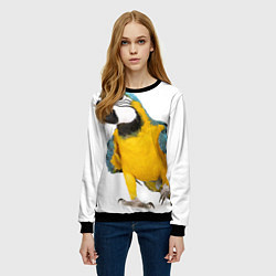 Свитшот женский Попугай ара, цвет: 3D-черный — фото 2