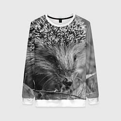 Свитшот женский Взгляд ёжика, цвет: 3D-белый