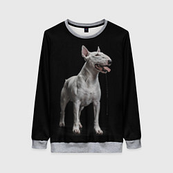 Женский свитшот Bully