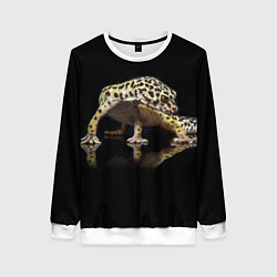 Свитшот женский ЭУБЛЕФАР EUBLEPHARIS, цвет: 3D-белый