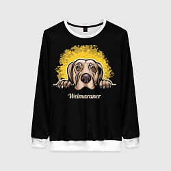 Женский свитшот Веймаранер Weimaraner