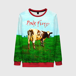 Свитшот женский Atom Heart Mother - Pink Floyd, цвет: 3D-красный