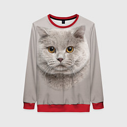 Женский свитшот Милая британка