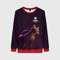 Женский свитшот Stray: Wandering Cat