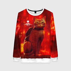 Свитшот женский The Stray, цвет: 3D-белый