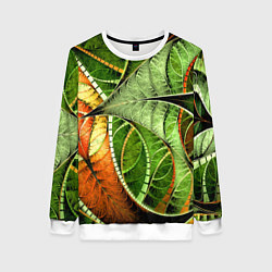 Женский свитшот Растительный абстрактный фрактальный паттерн Veget