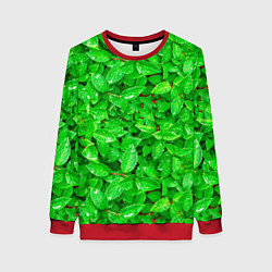 Свитшот женский Зелёные листья - текстура, цвет: 3D-красный