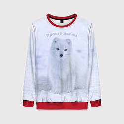 Свитшот женский Просто песец на снегу, цвет: 3D-красный
