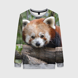 Свитшот женский Красная панда, цвет: 3D-меланж