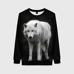 Свитшот женский Белый волк на темном фоне, цвет: 3D-черный