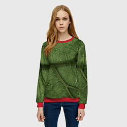 Свитшот женский Текстура зелёной листы, цвет: 3D-красный — фото 2