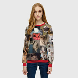 Свитшот женский Мемные котики, цвет: 3D-красный — фото 2