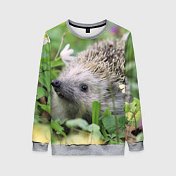 Женский свитшот Лесной ёжик в траве
