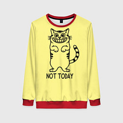 Свитшот женский Хитрый кот, цвет: 3D-красный