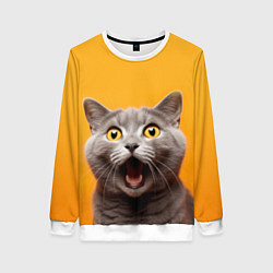 Свитшот женский Удивленный кот, цвет: 3D-белый