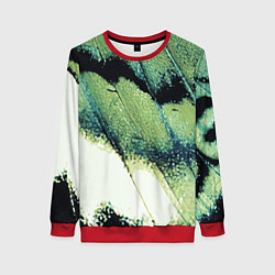 Свитшот женский Зелено-черные пятна на светлом, цвет: 3D-красный