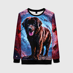 Свитшот женский Ньюфаундленд в космосе, цвет: 3D-черный