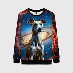 Женский свитшот Уиппет в космосе