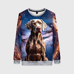 Женский свитшот Веймаранер в космосе