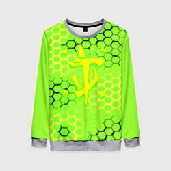 Свитшот женский Doom кислотные соты лого, цвет: 3D-меланж